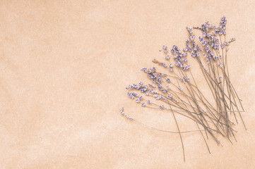 Beautiful lavender flowers on a light beige background. Space