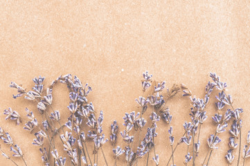 Fototapeta na wymiar Flowers lavender on a light beige background. Space