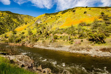 Merced River Spring