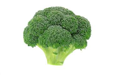 Broccoli isolated on white background. Healthy food.