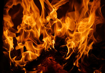 burning fire flame on the black background