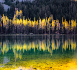 Yosemite Reflections