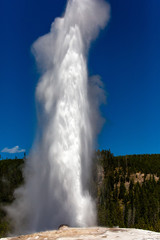 Fototapeta na wymiar Old Faithful geyser shooting into the air in Yellowstone Park Wyoming
