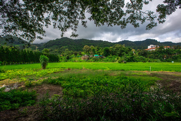 High angle panoramic wallpaper that overlooks nature all around (mountains, trees, green fields, roadside shelters), spontaneous beauty, cool, fresh air, breeze blowing through. Blur during the day