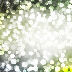 Light Gray vector background with bubbles.