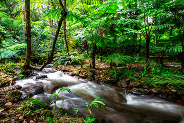 Natural blurred background of waterfalls, fast-flowing currents and water droplets from the wind...