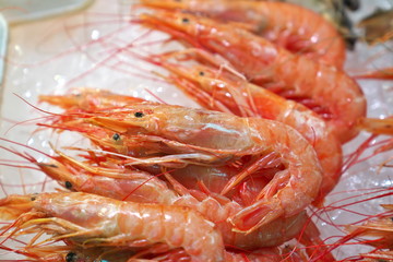 新鮮なエビ