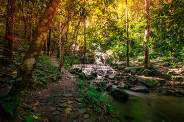 Natural blurred background of waterfalls, fast-flowing currents and water droplets from the wind blowing among the rocks and surrounded by big trees, spontaneous beauty