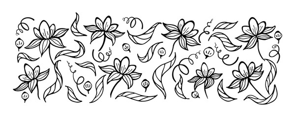 Set of elements for design - flowers