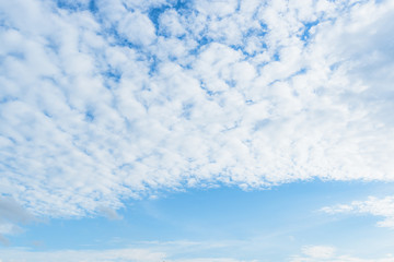 Fototapeta premium clear blue sky background,clouds with background.