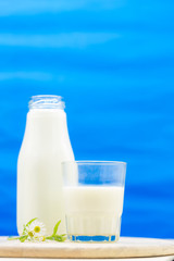 Glass of milk and flowers on the table in a blue background,