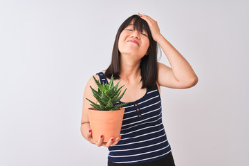 Young beautiful Chinese woman holding cactus pot over isolated white background stressed with hand on head, shocked with shame and surprise face, angry and frustrated. Fear and upset for mistake.