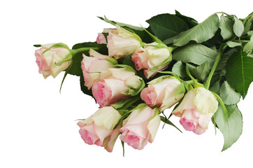 Fresh pink rose flowers bouquet