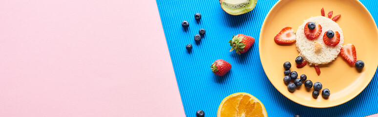 top view of plate with fancy animal made of food on blue and pink background