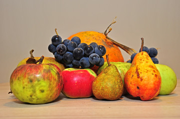 Autumn harvest. Natural organic pears, apples, grapes and orange pumpkin isolated