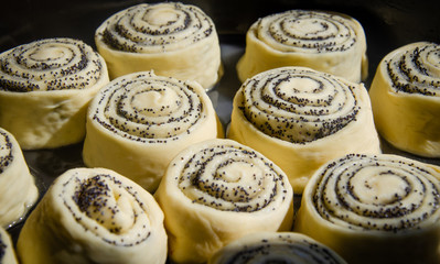 raw buns on a tray with poppy seeds delicious before baking