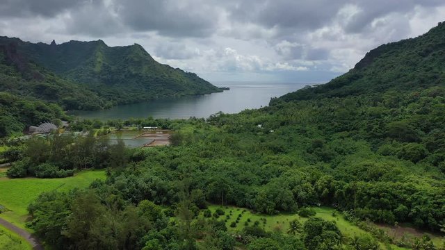 Tahiti Moorea Drone aerial travel view hyperlapse of of Opunohu Bay on Moorea, French Polynesia, Tahiti lush green landscape and South Pacific Ocean.