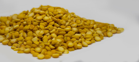 Fresh mushrooms isolated on yellow. spore-bearing fruiting body of a fungus