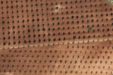 Aerial view of the fertile fields in Zadar region near Adriatic coast