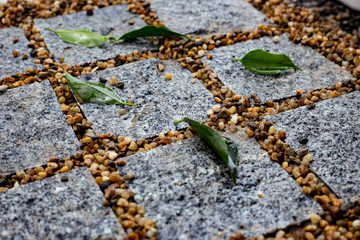 White Granite