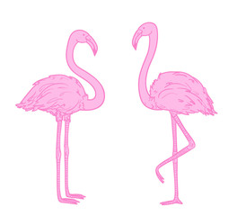 Flamingos on white. Colored cartoon birds. Illustration for polygraphy, banners, t-shirts and textiles