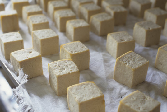 日本の伝統食品、豆腐よう、乾燥中の豆腐