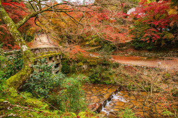 日本の秋 滋賀 日吉大社47 　Autumn in Japan, Shiga Prefecture, Hiyoshitaisha #47