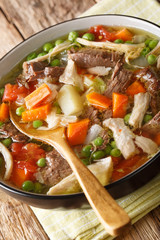 Slow Cooker Belgian Booyah soup with vegetables and meat close-up in a bowl. vertical