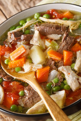 Rich booyah soup with vegetables and several types of meat close-up in a bowl. vertical