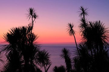 Fototapeta na wymiar Silhouette of the palm trees on the beach at sunset