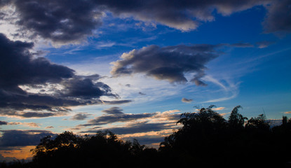 atardecer con nubes y silueta de arboles