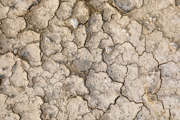 Dry and Crack earth roof texture 