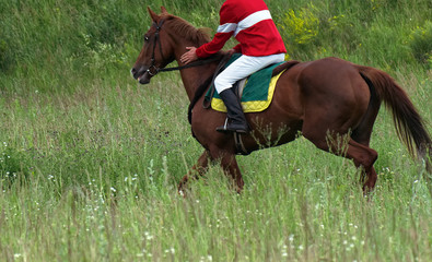 Racehorse and rider. A jockey in a red jacket sitting on a brown horse reassures her stroking his hand by the neck.