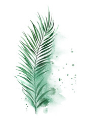 Poster tropical design. Green palm leaf and watercolor splashes and stains.