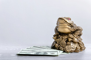 Golden toad with coins sits on money close-up. Toad and dollars. Feng Shui.