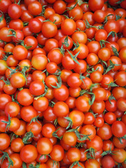 A lot of cherry tomatoes