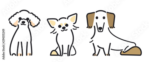 犬 ポーズ 表情 ３匹 トイプードル チワワ ミニチュアダックスフンド Wall Mural さんいんち