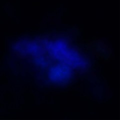 Dark Gray vector background with polygonal style.