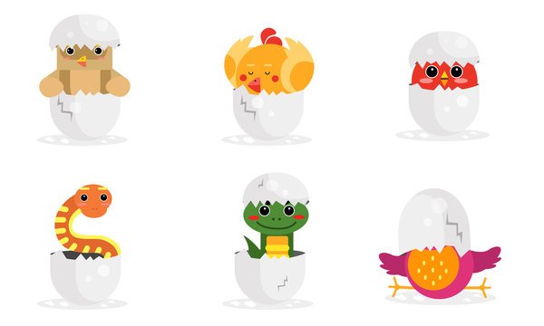 Cute New Born Animals In Eggs Vector Illustration Set
