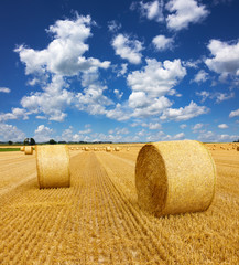 Yellow golden straw bales of hay in the stubble field, agricultural field under a blue sky with...