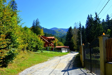 Typical landscape in the forests of Transylvania, Romania. Green landscape in the midsummer, in a sunny day
