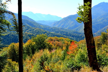 Autumn color and Typical rural landscape in the forests of Transylvania.