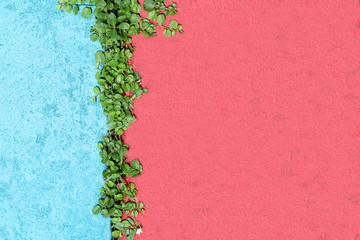 Green grass on the pink and blue concrete floor.