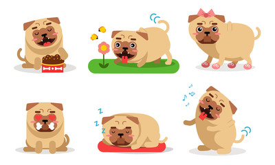 Vector Illustration Set Of Different Actions Of A Puppy Isolated On White Background