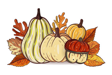Autumn leaves and pumpkins isolated on white background. Seasonal oak, hawthorn, aspen leaves with gourds for thanksgiving day, harvest decoration, halloween. Fall season elements. Vector design