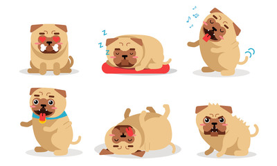 Different Actions Of A Pug Vector Illustration Set Isolated On White Background