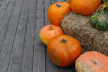 Many yellow and green autumn pumpkins of various shapes lie on the wooden floor