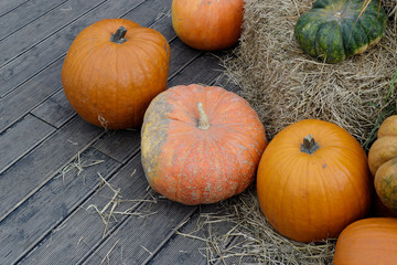 Many yellow and green autumn pumpkins of various shapes lie on the wooden floor