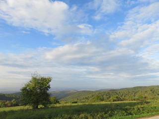 Fototapeta na wymiar view of sunny sky above green field