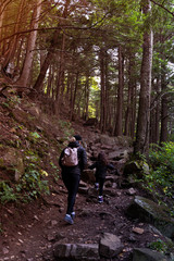 Fototapeta premium Mother and child going upsteps in forest in autumn in park, Seen from behind. Concepts of path, direction, support, hope. Gatineau Park, Quebec, Ontario.